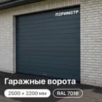 ворота секционные периметр с торсионным механизмом 2500х2200, ral 7016 антрацит
