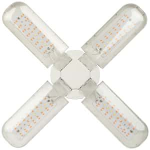 лампа для растений led fito 36w красно-синего цвета rb e27 fold 4-х лепестковая эра/1 лампа для растений led fito 36w красно-синего цвета rb e27 fold 4-х лепестковая эра/1